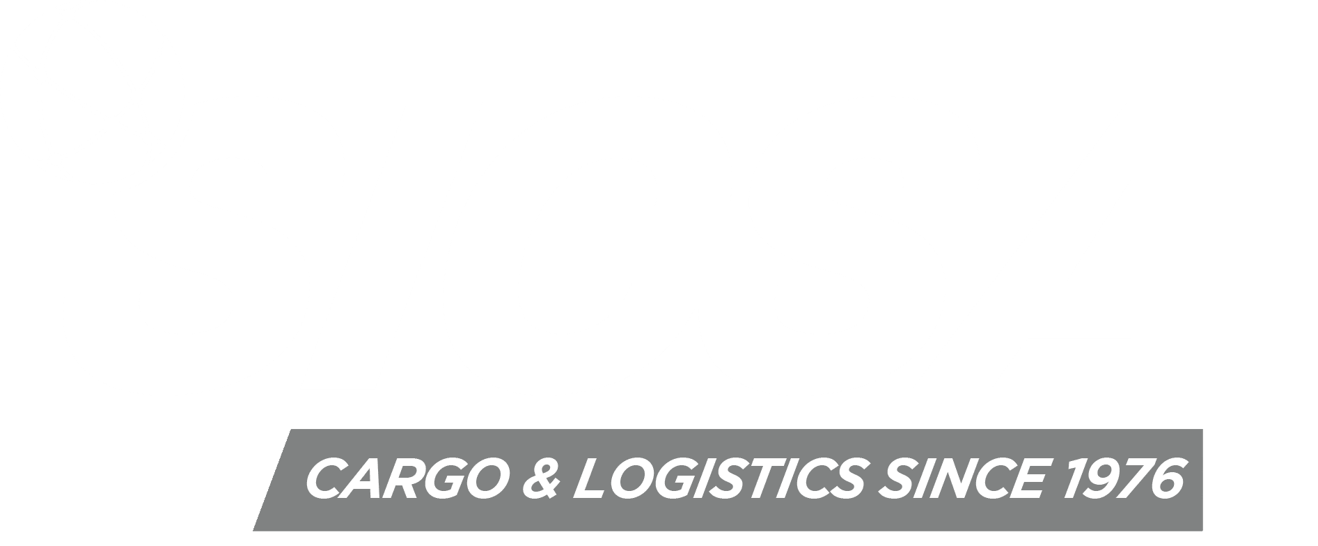 SICSA - Sistema Integrado de Carga S.A.